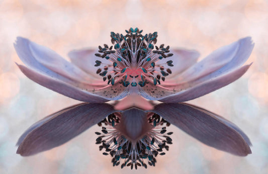 How Spiritual Art Reflects the Energy of the Cosmos in Everyday Life