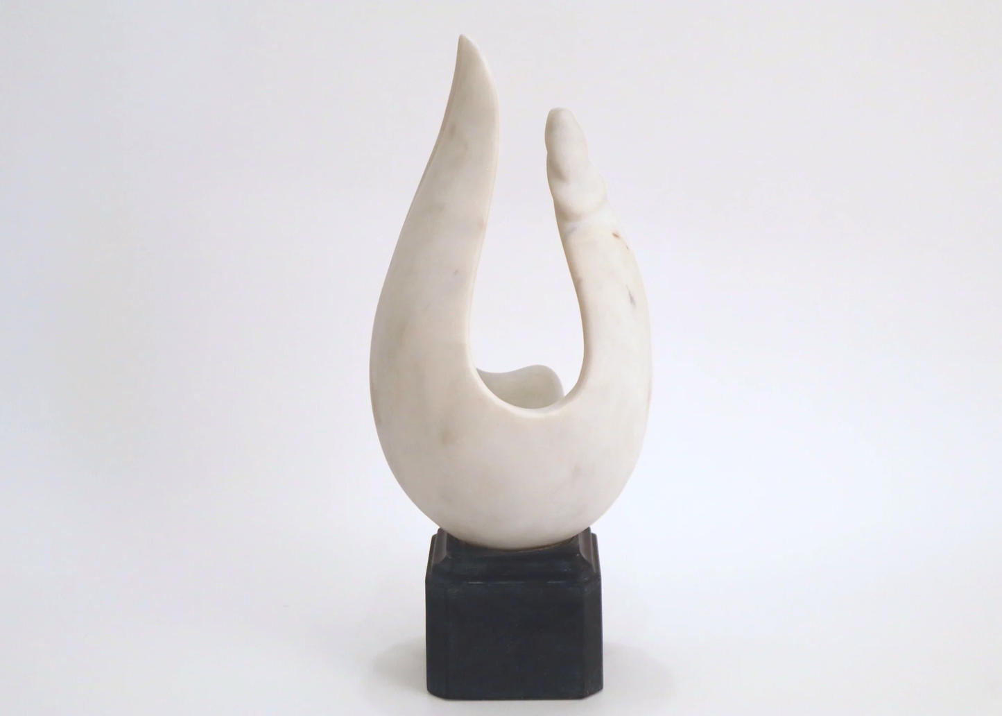 Conch Shell - White and Black Marble (42 cm)