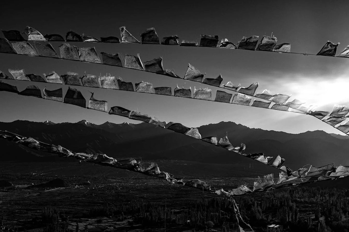'Prayer Flags at near Leh Palace' - Aman Chotani original print