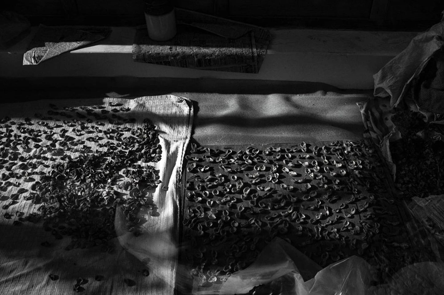 'End of apricot season, drying apricots in the sun' - Aman Chotani original print