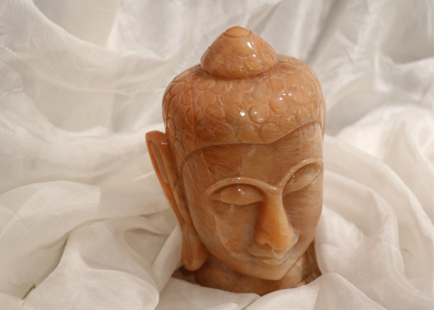 Buddha Head