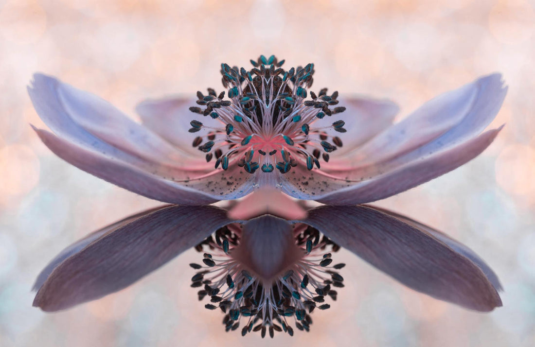 How Spiritual Art Reflects the Energy of the Cosmos in Everyday Life
