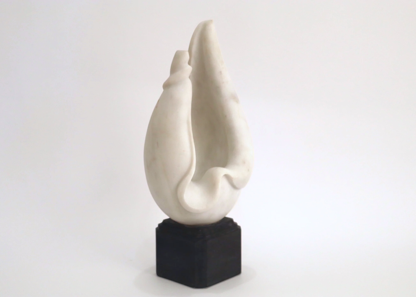 Conch Shell - White and Black Marble (42 cm)