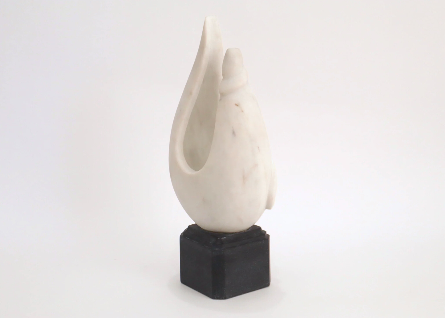 Conch Shell - White and Black Marble (42 cm)