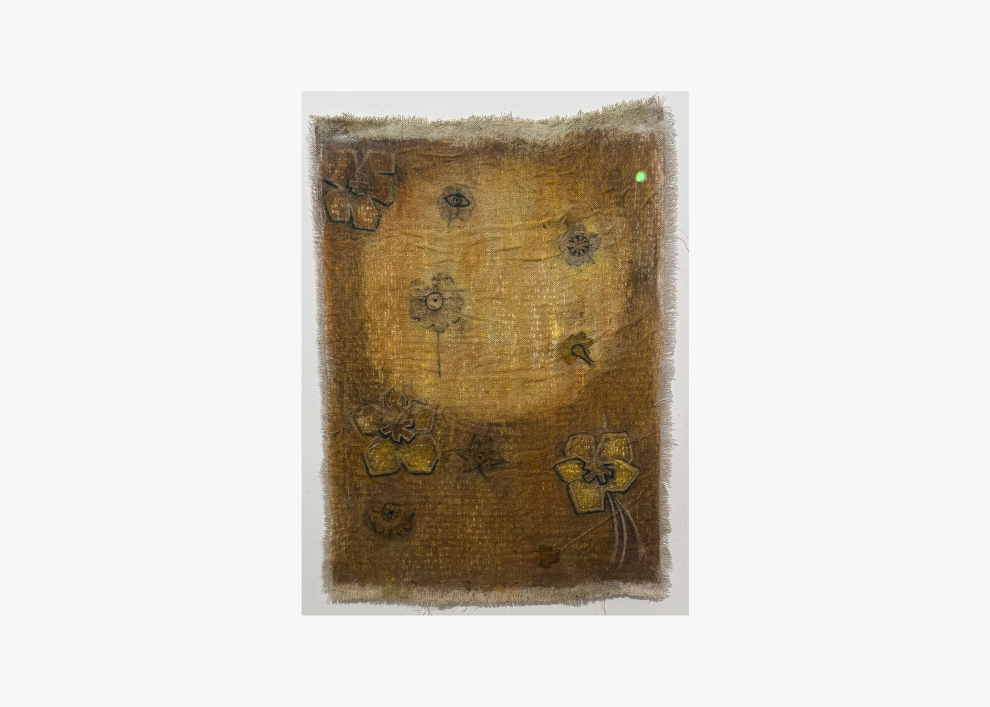 Genesis 2 - Dharshi De Silva