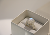 Rainbow Moonstone Ring (Sterling Silver)